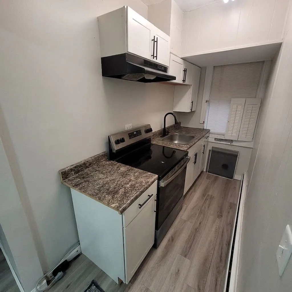 1 bed, 400 sqft, $1,500 — Photo 3