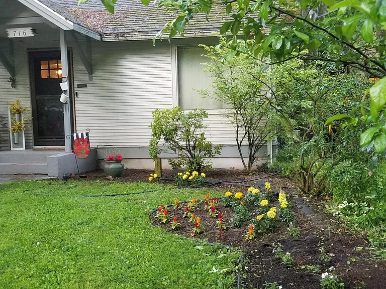 Summer front.