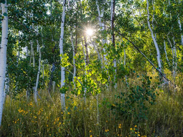 2070 S Uintah View Dr, Coalville, UT 84017