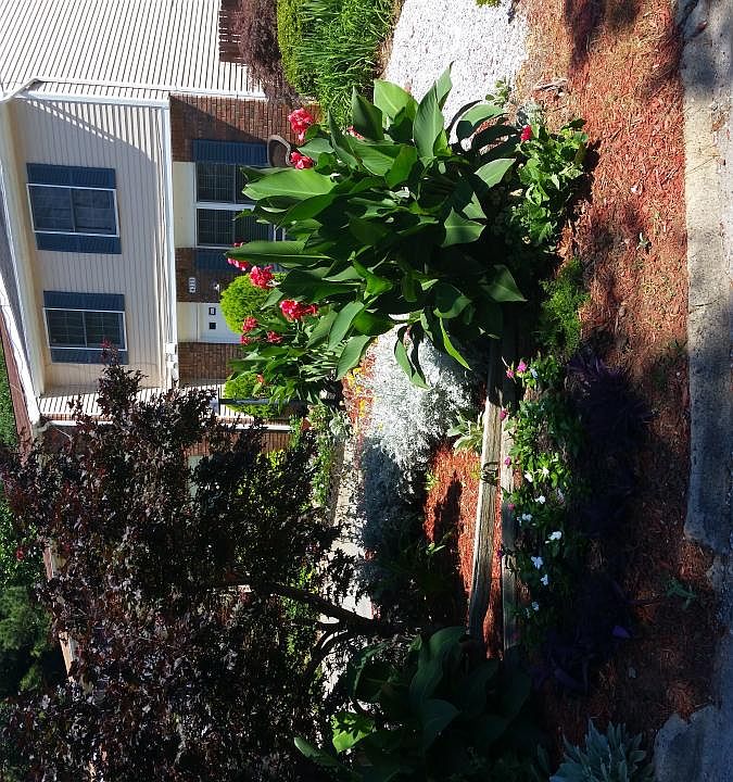 Beautiful garden
