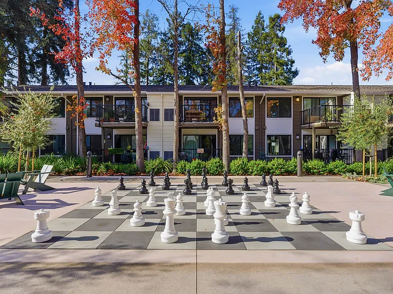 Courtyard Area