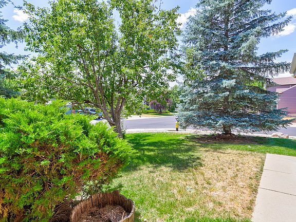 View of Yard from Front Door