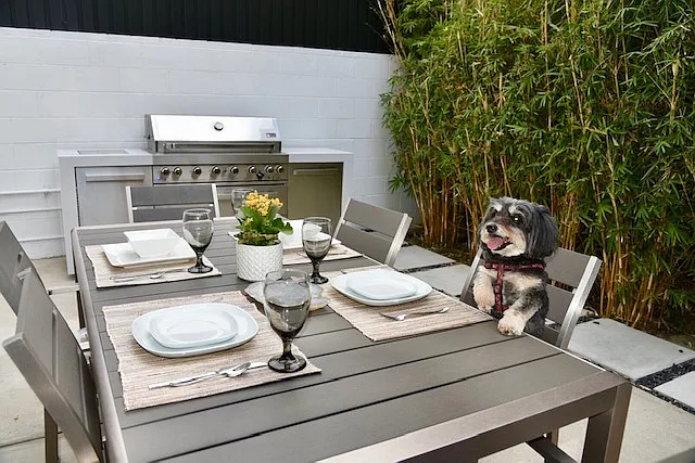 Dining table and BBQ