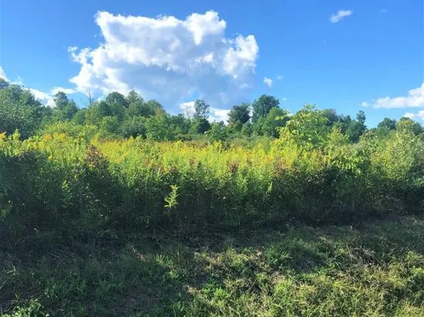 0 Demunn Rd Lot 3-DIX, Beaver Dams, NY 14812