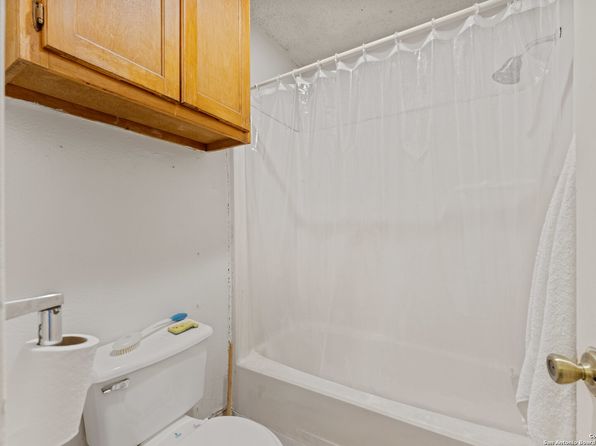 san-antonio-texas-169089021 picture