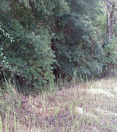 County high elevation