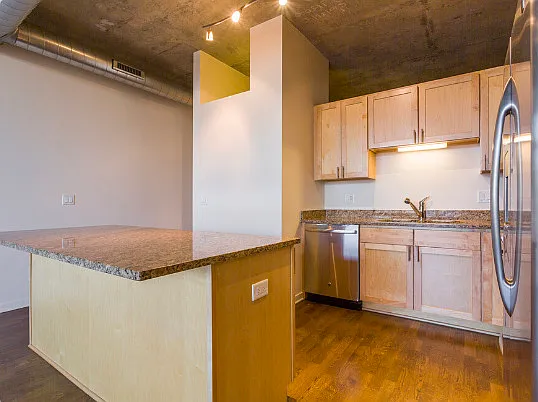 700 N Larrabee St #1704 — Photo 13