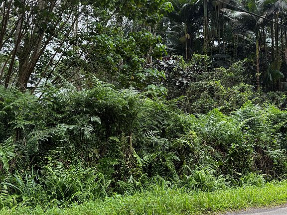 5th image of Pahoa Rd Lot 17
