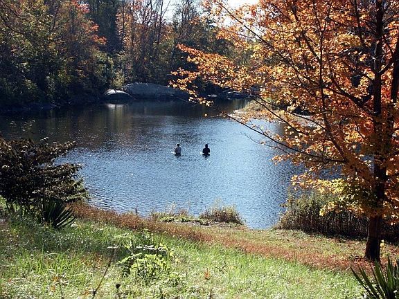 Complex Waterfront on Farmington River