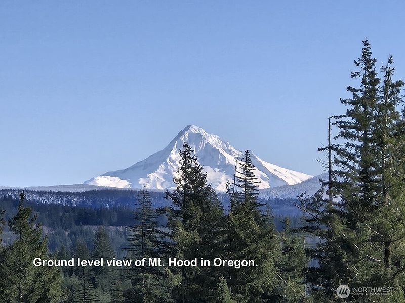 2nd image of 1051 SKAMANIA MINES Road