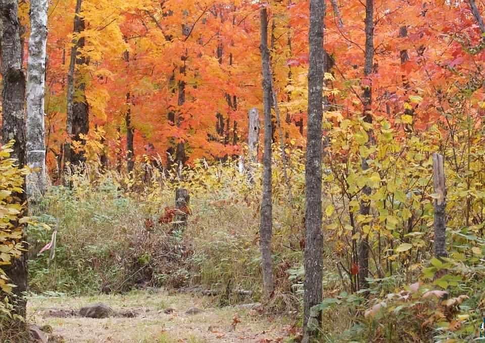 1st image of 640 Wildridge Estates