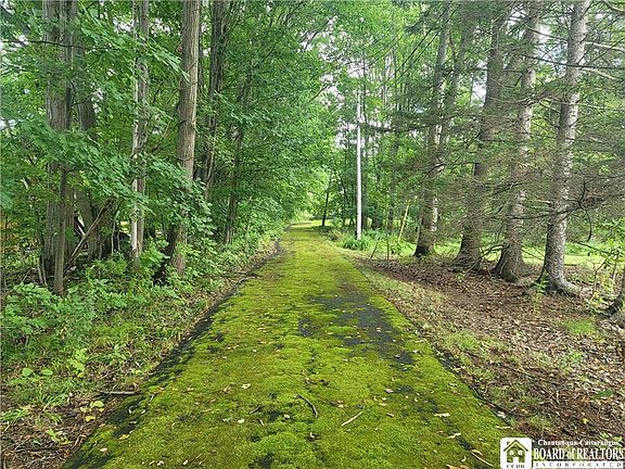 2nd image of 2014 Buffalo Street Ext Lot 11