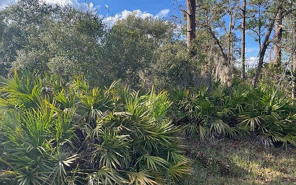 lot is 155 w x 285 depth