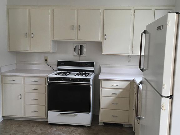 kitchen - gas stove and fridge