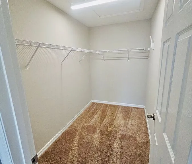 34436 Moonflower Ave — Photo 25