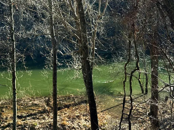 LOT 5A Wildflower Ln, Heber Springs, AR 72543