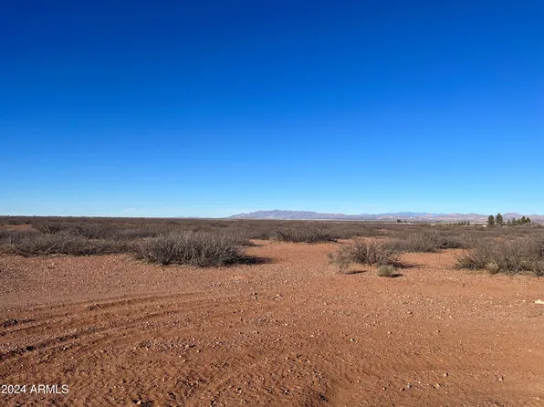 000 W Willliams Lane #0, Douglas, AZ 85607