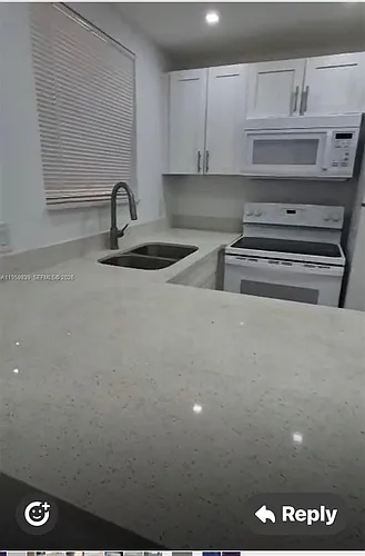285 NE 191st St #2907 Photo 1