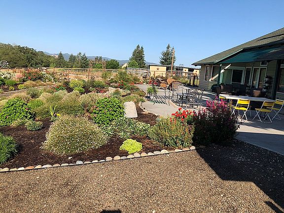 Backyard garden 