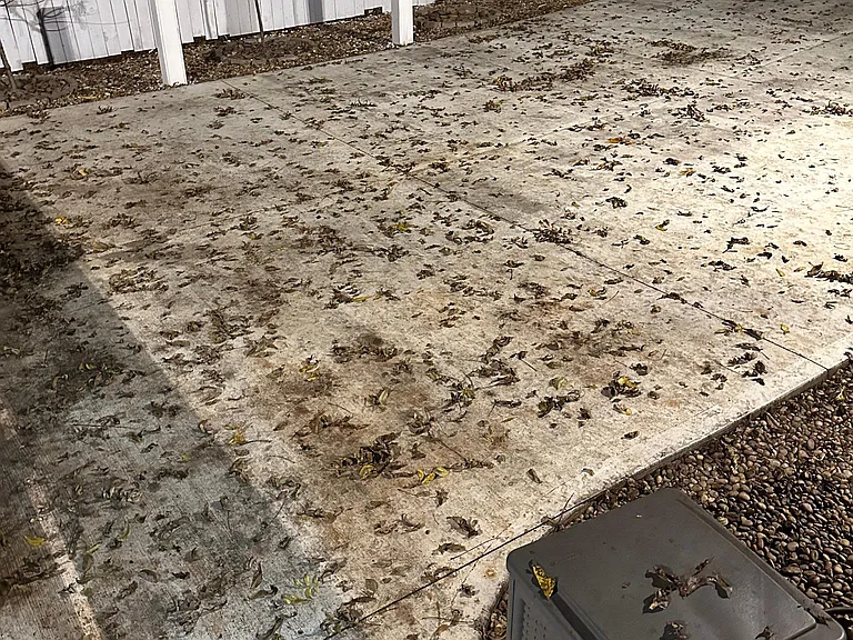 Back patio and driveway. Enough room to properly park 6 vehicles
