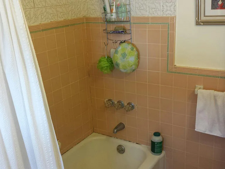 464 S Downing St #B — Photo 4