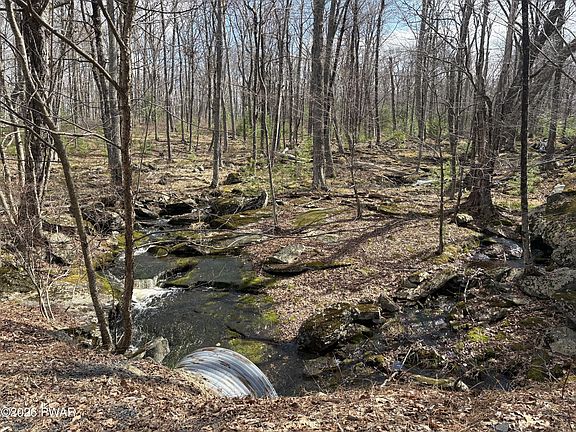 2nd image of LOT 683 Lake Forest Dr