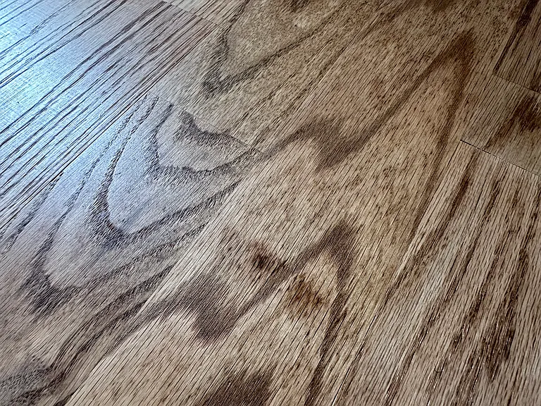 3 Fargo Ave #2 — Photo 31
