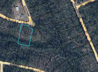 Tbd Pine Needle Street, Marianna, FL 32448