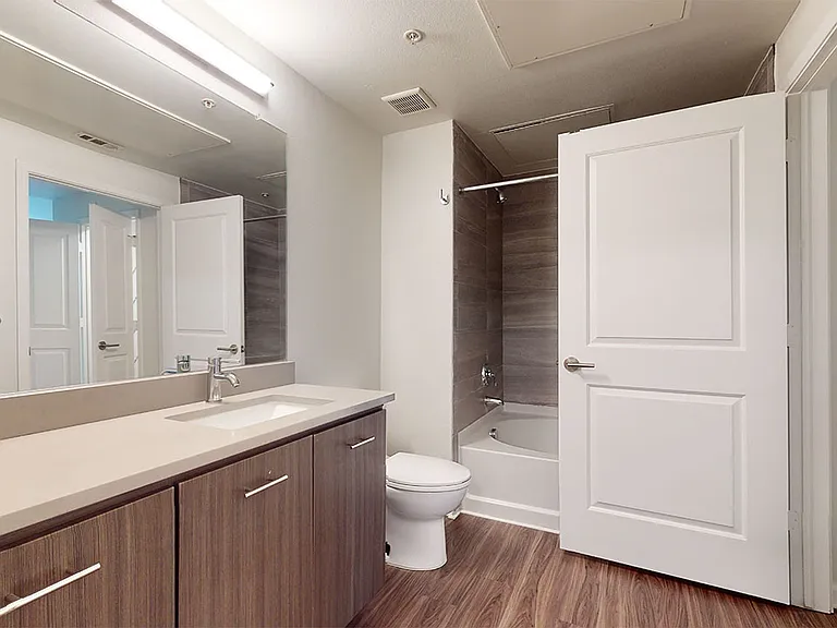 Apartment bathroom with wood-style flooring.