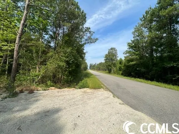 TBD Huckleberry Rd. LOT 1, Galivants Ferry, SC 29544