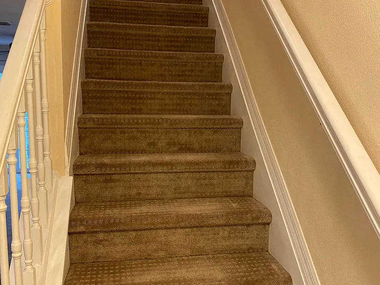 7324 Black Walnut Way — Photo 14