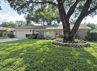 1219 Branda Vista Dr, Brandon, FL 33510