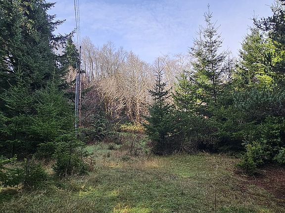 2nd image of Crystal Creek Rd #804