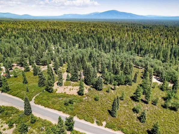 2-D-30 Snowline Cir, McCloud, CA 96057