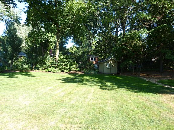 Rear Yard 
