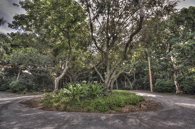 1st image of 395 Gumbo Limbo Ln