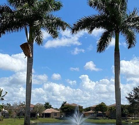 3rd image of 10229 S Silver Palm Dr