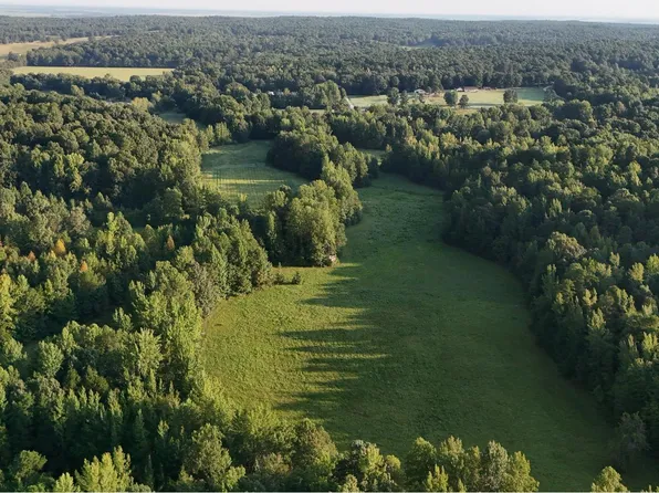 100 Acres Hwy #34, West Paragould, AR 72450