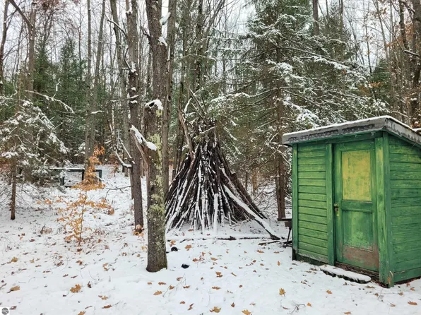 11771 W 16th Rd, Mesick, MI 49668
