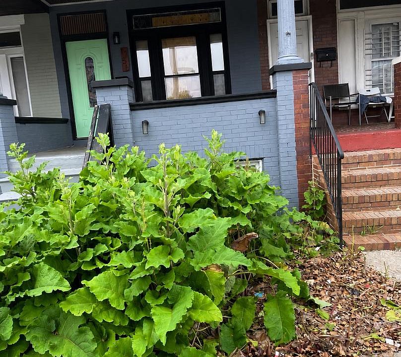 1st image of 1156 N Longwood St