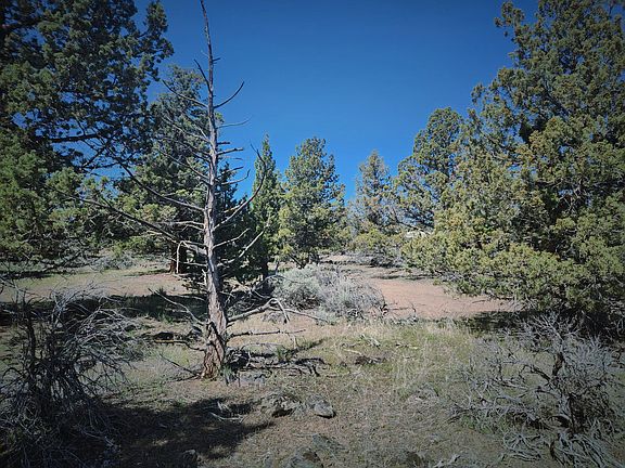 5th image of 65415 78th St