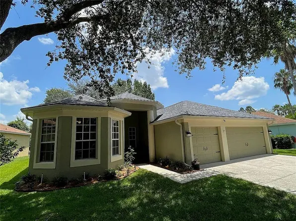 19107 Dove Creek Dr, Tampa, FL 33647