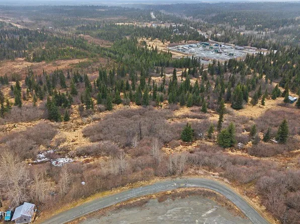 65251 Wagon Rd, Anchor Point, AK 99556