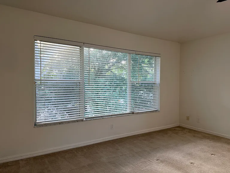 4212 Bismarck Palm Dr — Photo 20