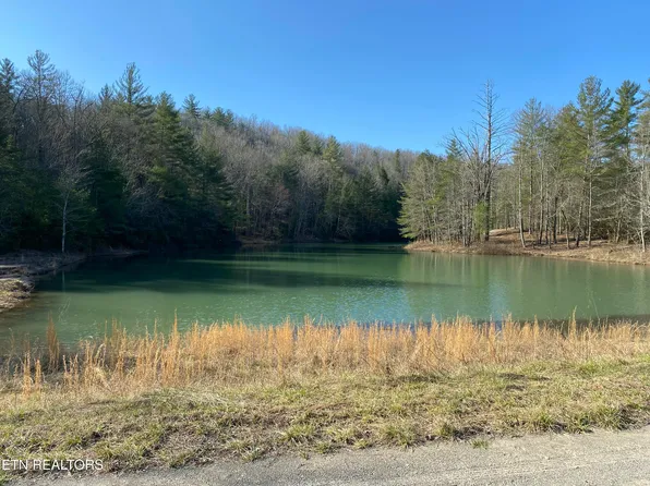 Bear Den Trl, Grandview, TN 37337