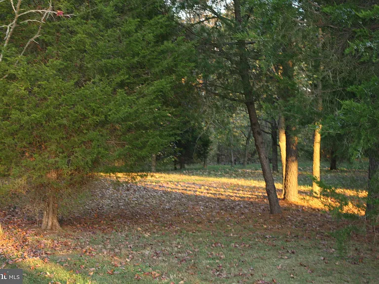 18162 White Tail Way — Photo 26