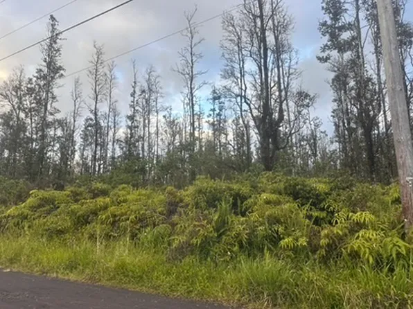 Aulii St Lot 9, Kurtistown, HI 96760