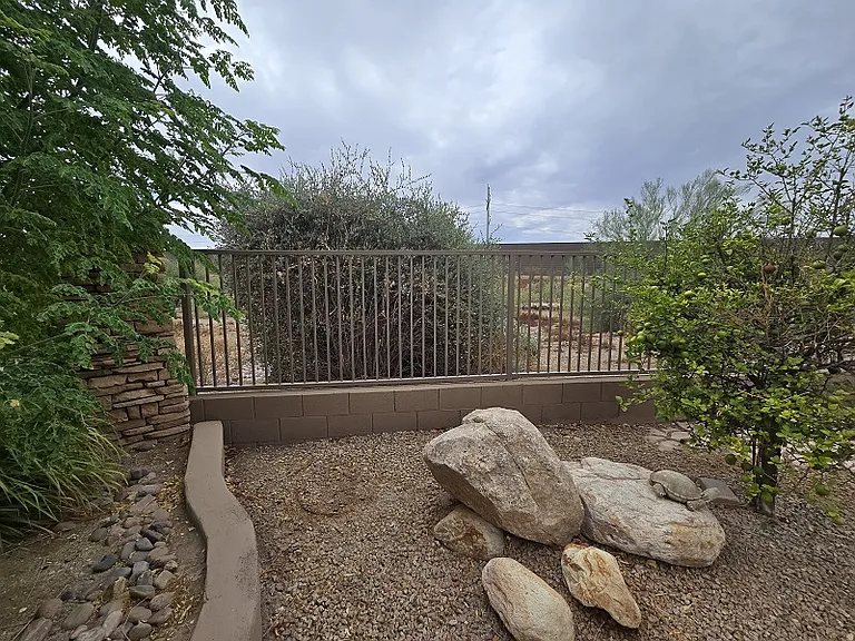 Backyard view