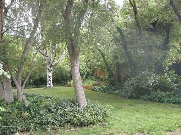 Landscaped Backyard 3