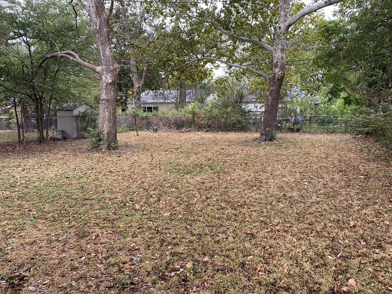 2 bed, 784 sqft, $1,150 — Photo 2